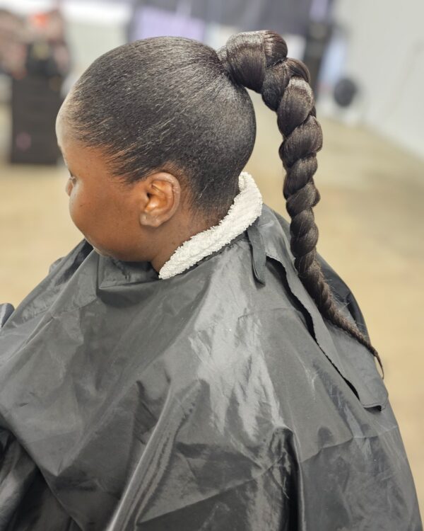 Ponytail- One Braid